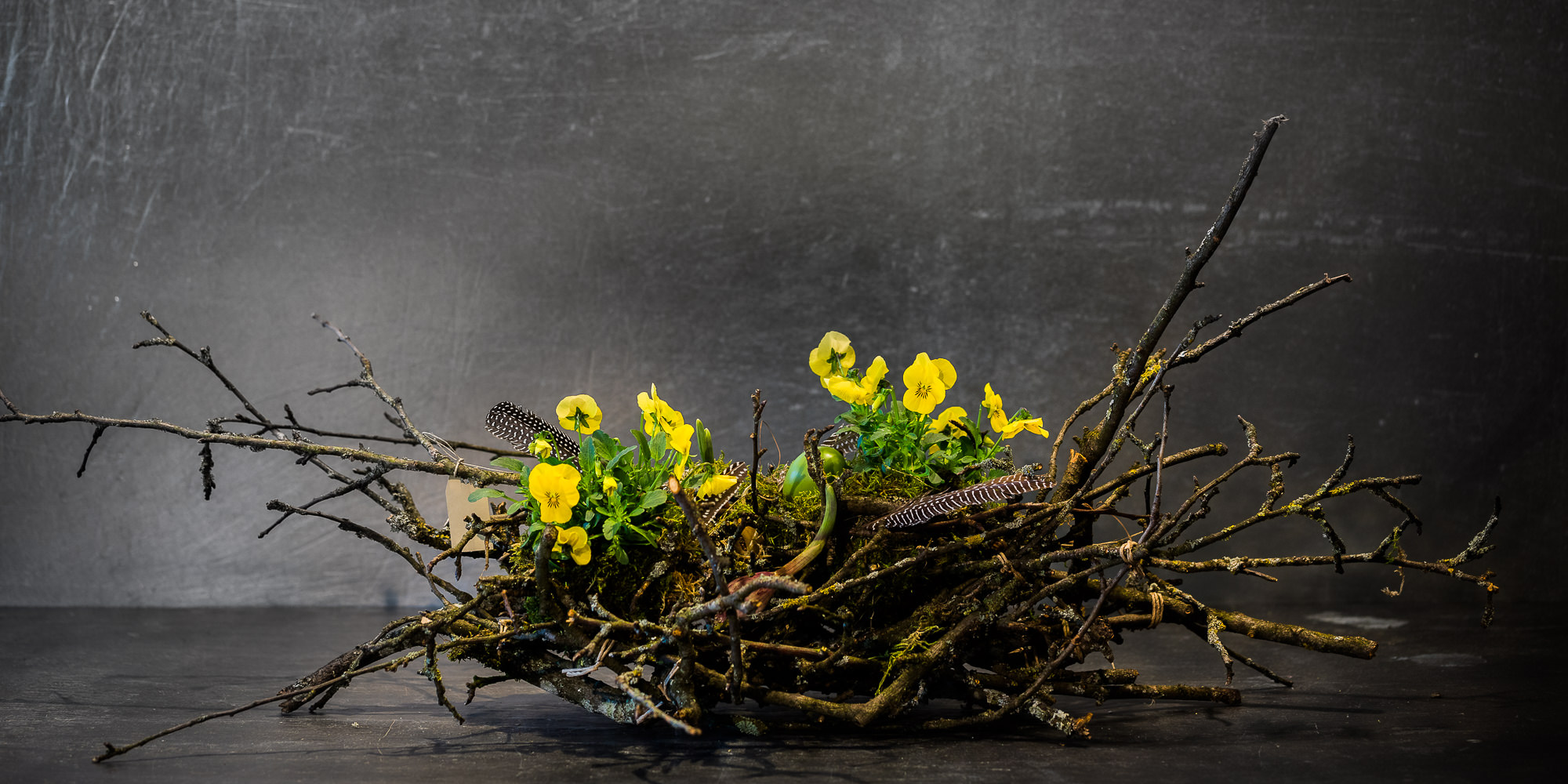 Export x3 5D4 9351 Businessauftrag 2017 Blattform Aarau